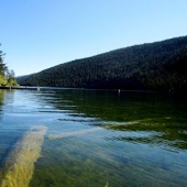 At Loon creek, looking east