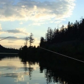 Evening fishing