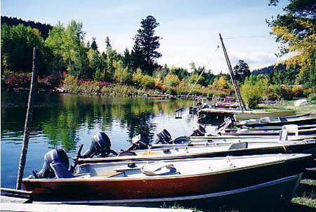 boat rental