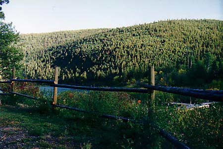 RV Site